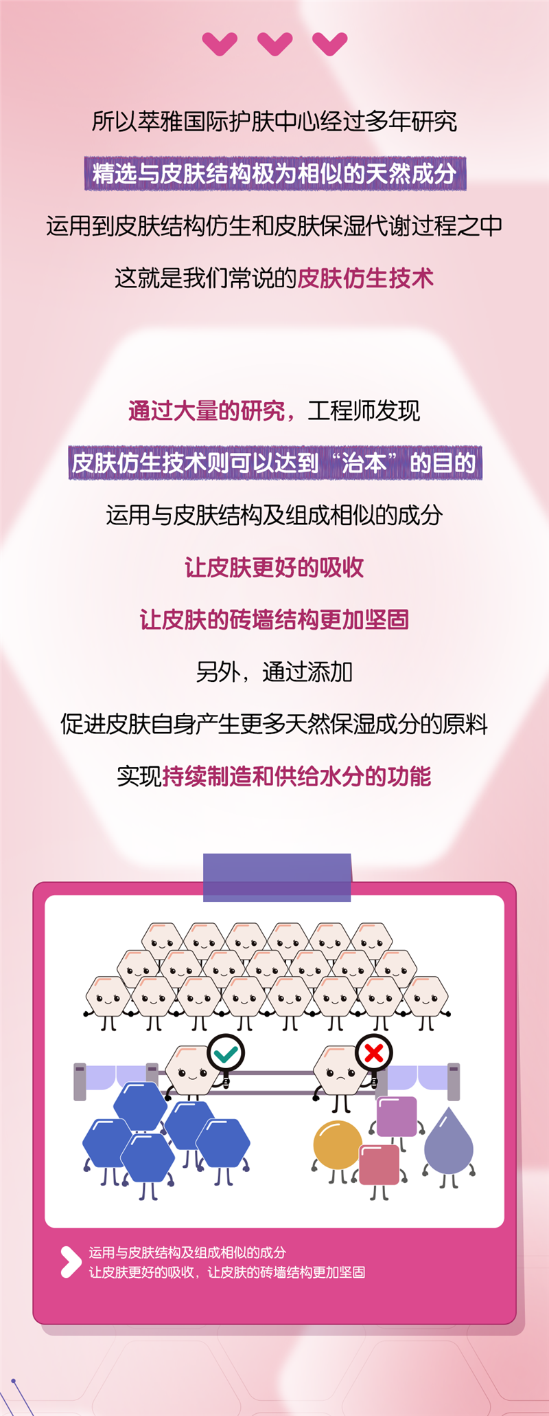 清润系列皮肤仿生技术长图-ok-_05.png