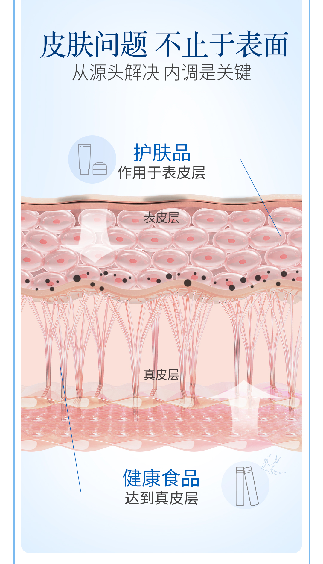 18289-01-萃雅魅力白燕窝酸饮-详情页-0619AW_03.jpg